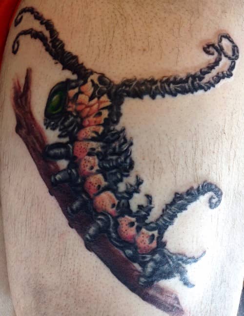 tattoo by Starr, spiny pink and black caterpillar